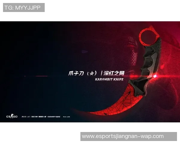 电竞实时数据杨芳专访回顾CSGO发展历程与未来展望